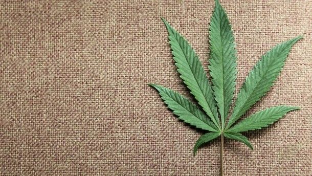 Cannabis-Geldsegen für die AHV