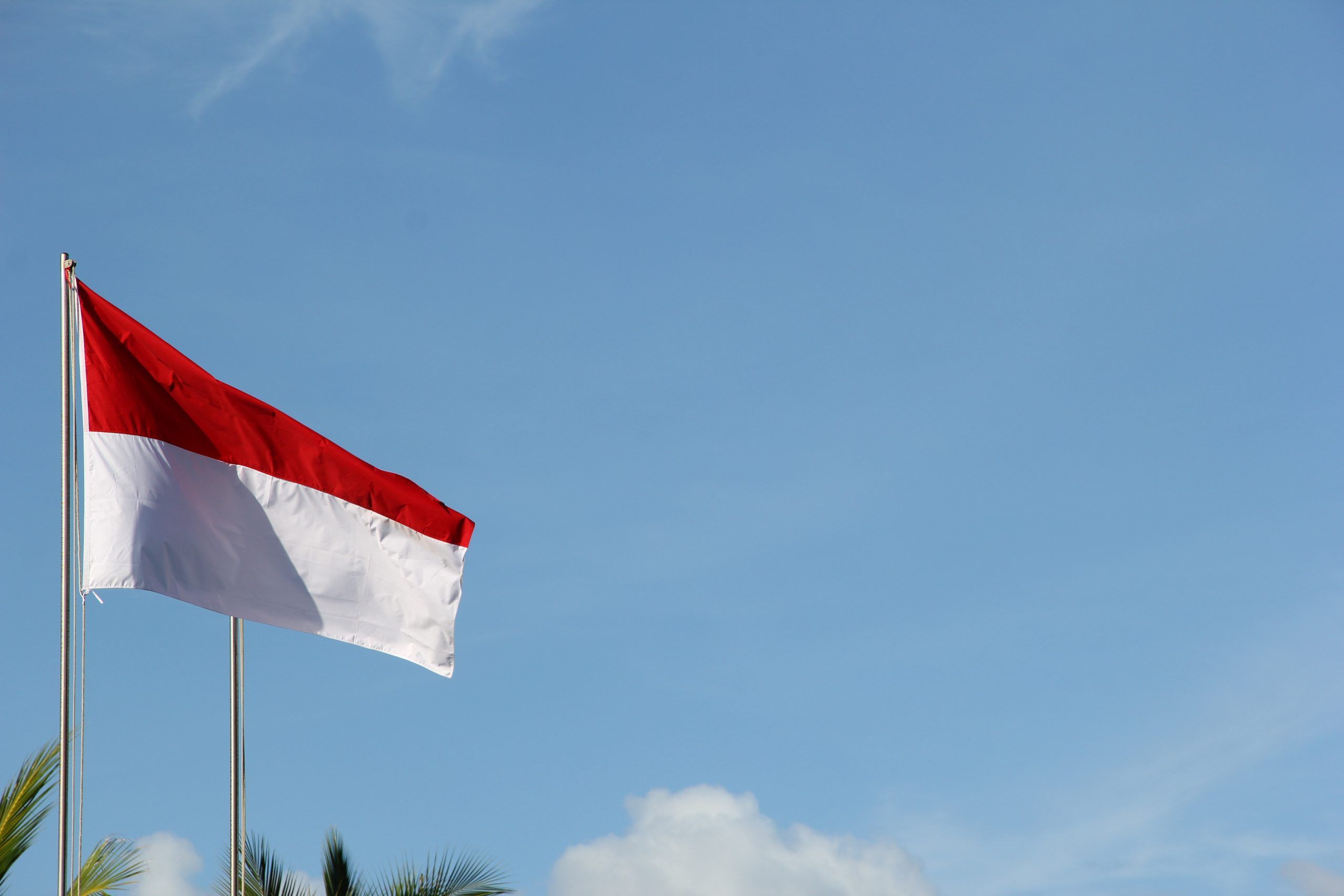 Ja zum Freihandelsabkommen mit Indonesien